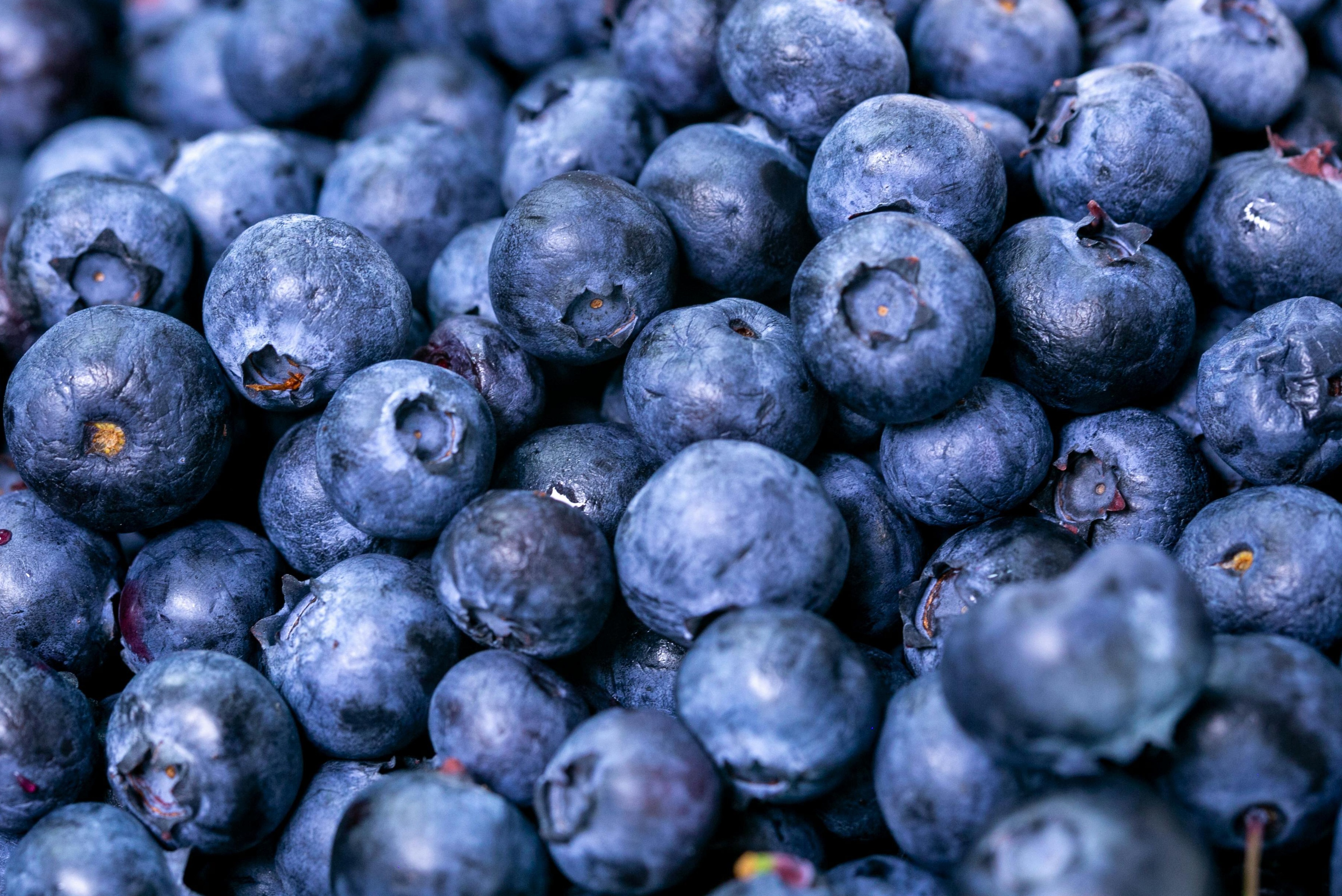 pexels-kelly-1179532-2539170